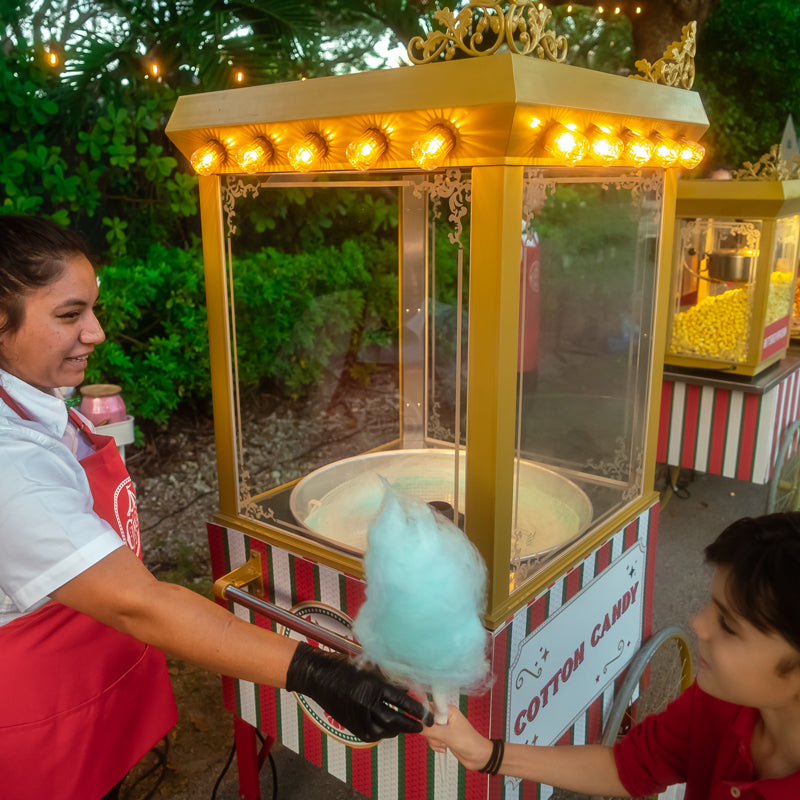 Luxe Cotton Candy Cart with Christmas theme